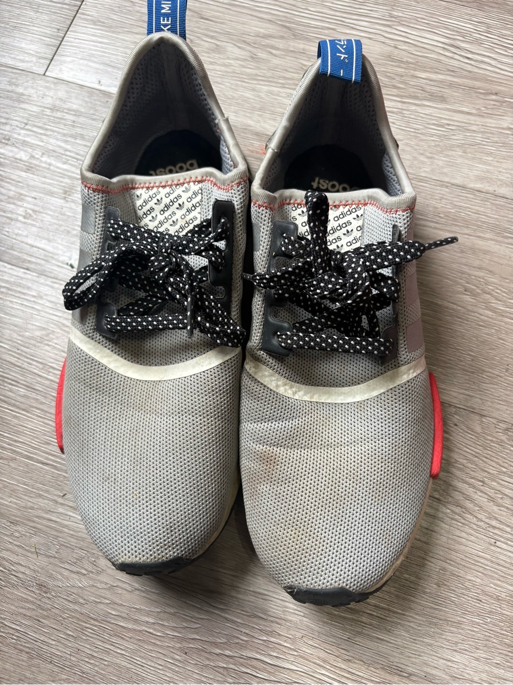 adidas Grey Mesh Sneakers with Black Laces and Red Stitching SIZE 9 1/2